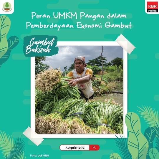 Peran UMKM Pangan dalam Pemberdayaan Ekonomi Gambut