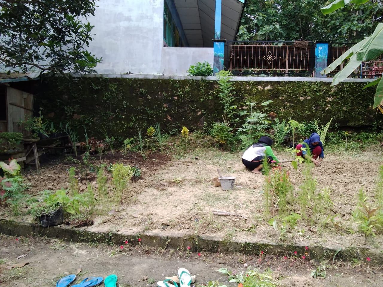 Toga di Lingkungan Posyandu