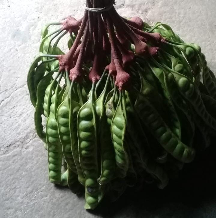 Mengenal " Sembur Naga"